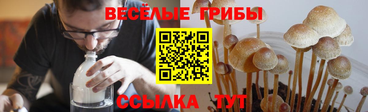 Псилоцибиновые грибы Magic Shrooms  Вход с VPN  Псков 